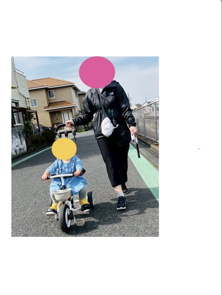 0歳×2歳×吠え犬とのワンオペ散歩。ベビーカーを捨てて辿り着いた生存戦略