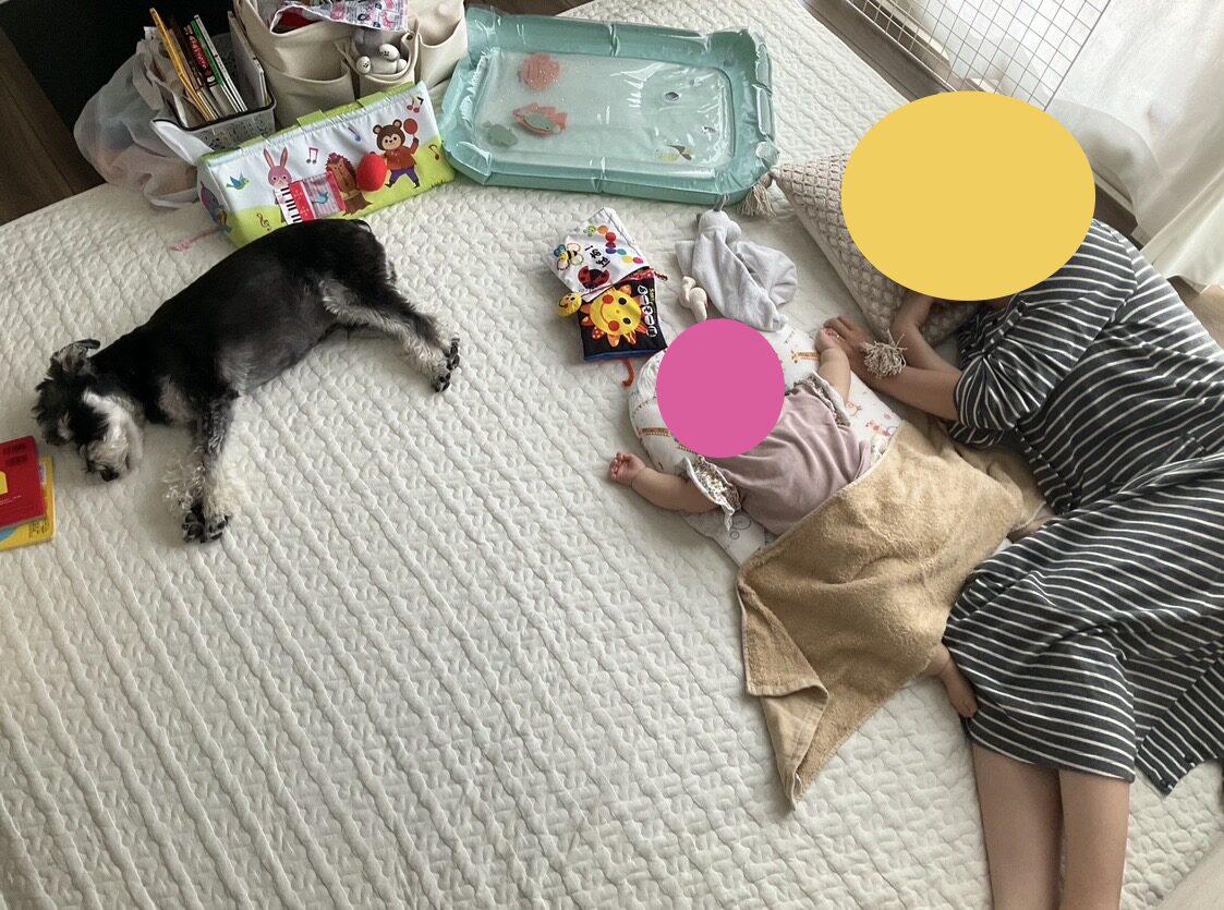 ソファを捨てたら、理想の育児が待っていた。赤ちゃんと愛犬がゴロゴロ過ごす『究極の床』改革
