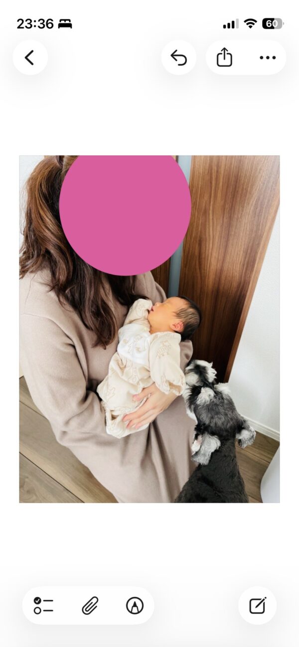 「愛犬を加害者にしない」決意。赤ちゃんと犬が安全に暮らす鉄壁のリビング術